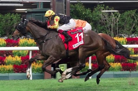 happy valley hong kong horse racing tips media selection|Latest Tips .